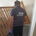 Best Pest Control in Wembley – Fast, Effective, and Affordable Solutions