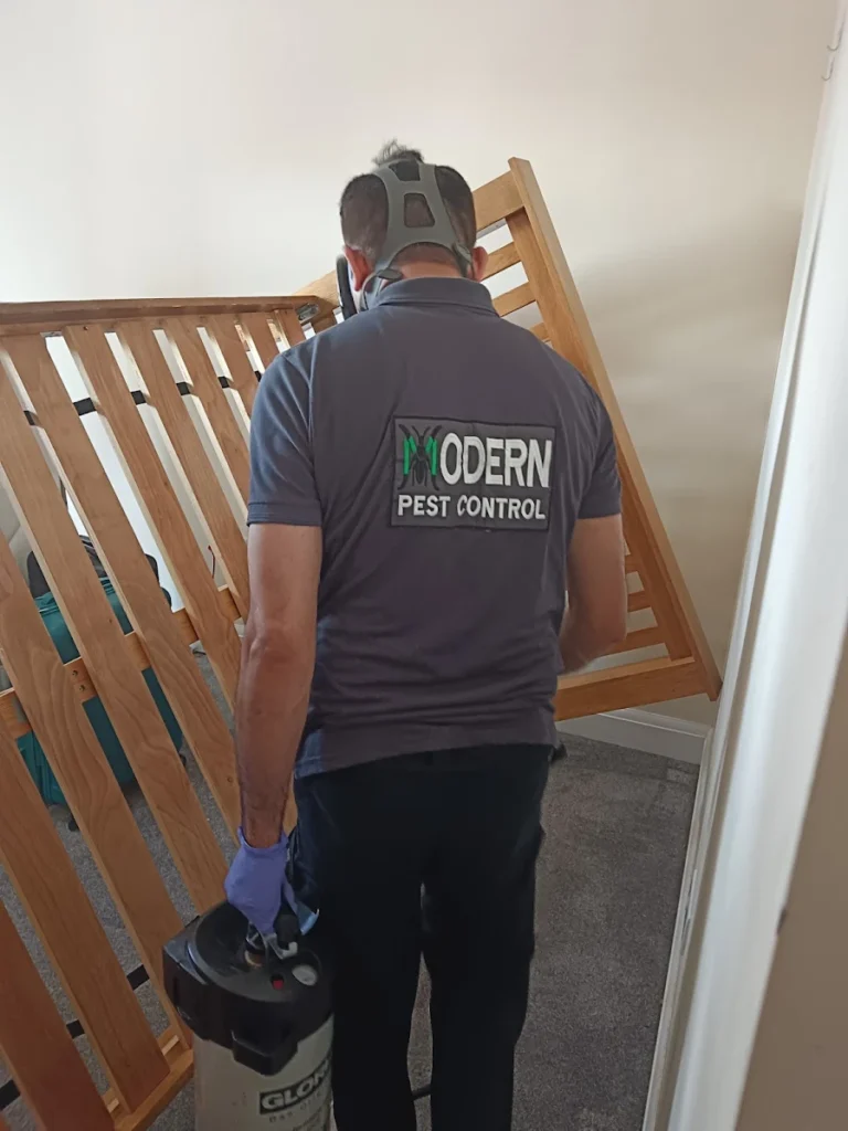 Pest Control in Wembley