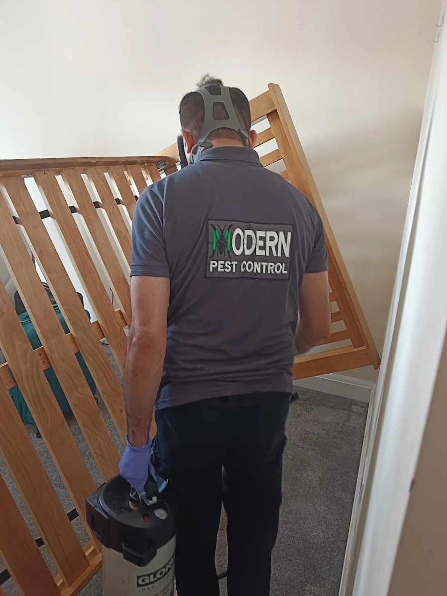 Pest Control in Wembley