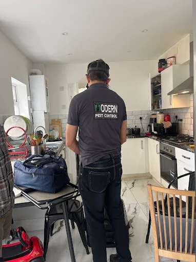 Pest Control in Wembley