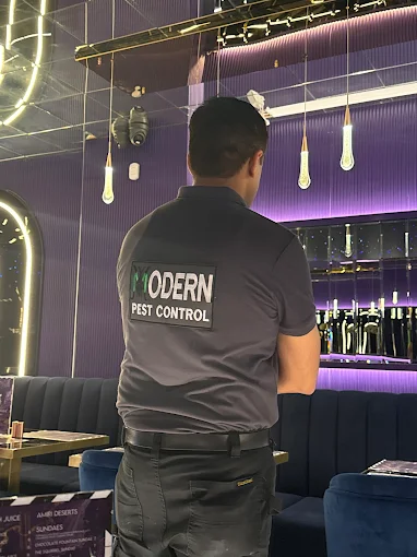 Pest control in West Hampstead