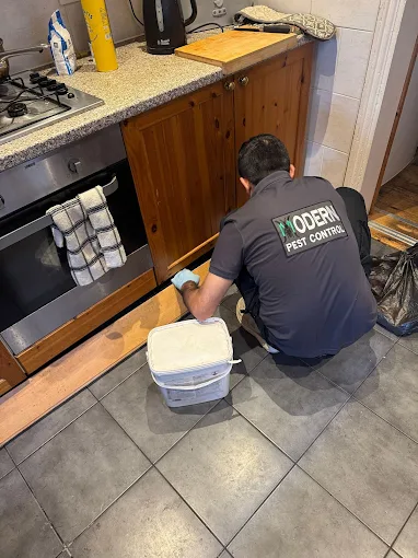 pest control in London