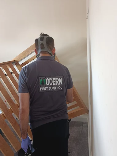 pest control in wembley