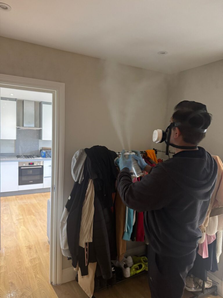 Top 5 Signs You Need Professional Pest Control in Barnet