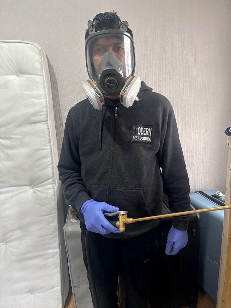 pest control in Hackney