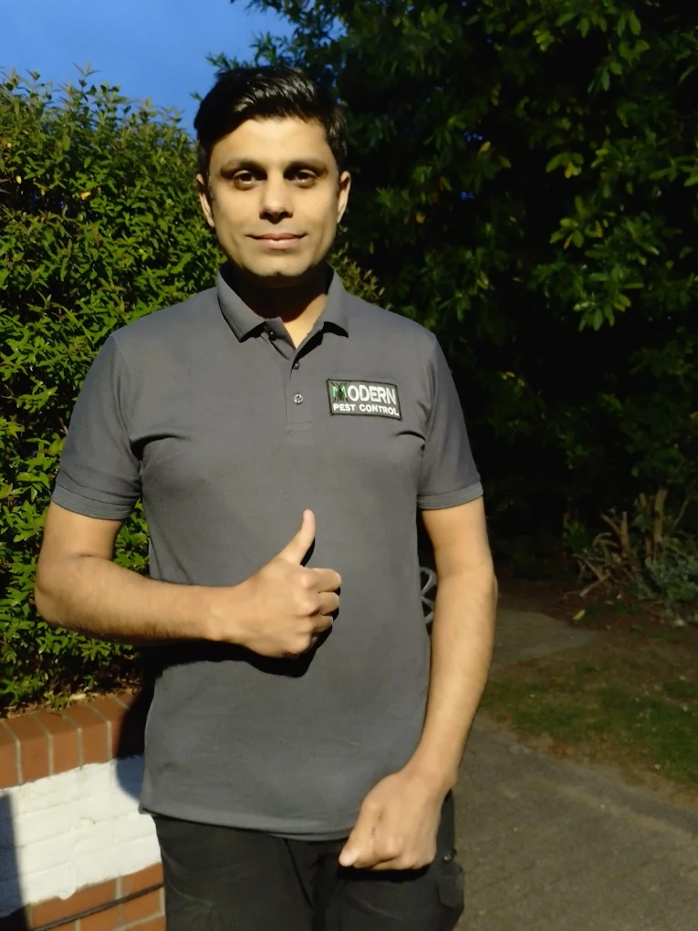 pest control in Hackney