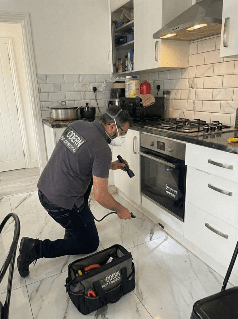 Residential Pest Control in London