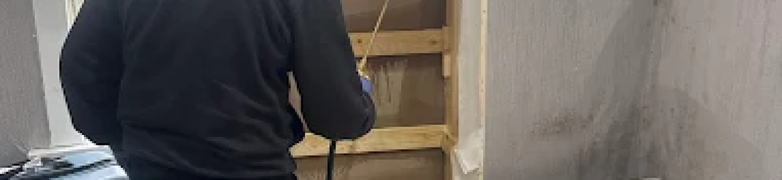 pest control in Barnet