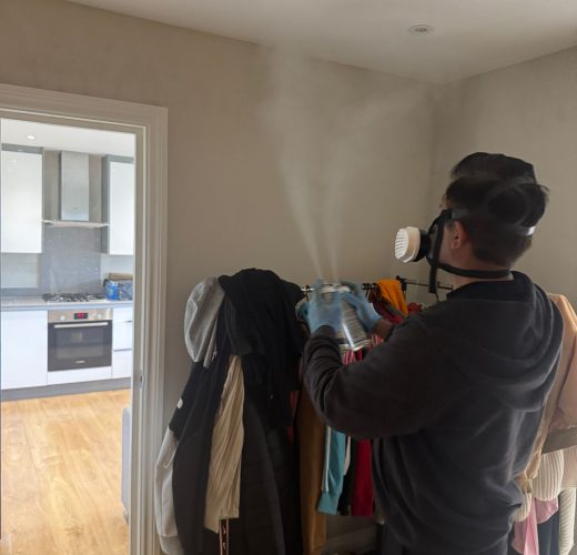 pest control in barnet post 2 pest control in barnet